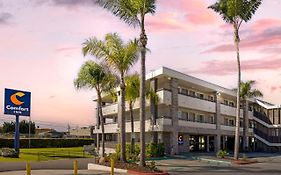 Comfort Inn Sea World Area